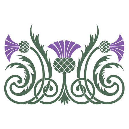 Design of leaves and flowers of the Thistle in Celtic styleのイラスト素材