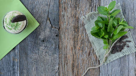 Mint Cupcake With Fresh Mint Leaves on Wooden Backgroundの写真素材