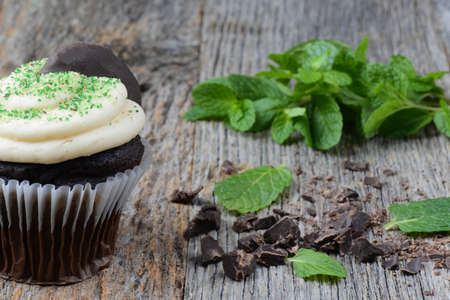 Mint Cupcake With Fresh Mint Leaves on Wooden Backgroundの写真素材