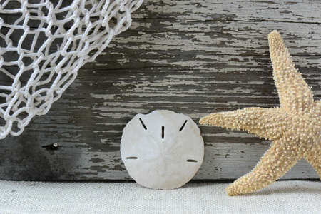 Sea Themed Background with Rustic Wood and  Fishing Net