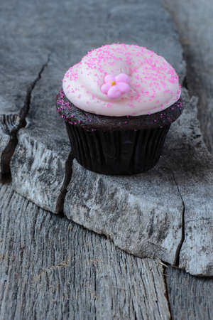 Cupcake on  Dark Wooden Background