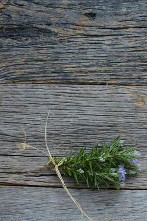 Rosemarie On Wood Backgroundの写真素材