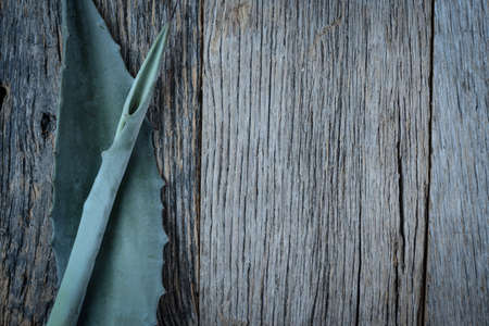 Aloe Vera Leaves on Wood Backgroundの写真素材