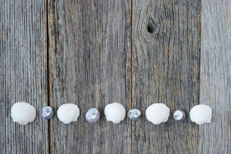 Sea Themed Background with Rustic Wood Fencing and Decorative Shellsの写真素材