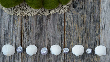 Sea Themed Background with Rustic Wood Fencing and Decorative Shellsの写真素材