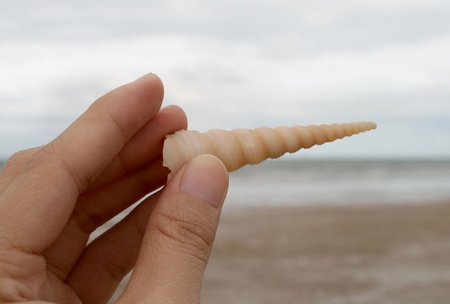 hand touching the shell