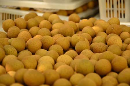 Longan lined.の写真素材