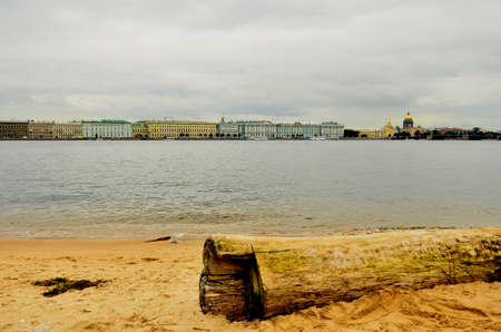 Dry wood of the sea in St. Petersburg.の写真素材