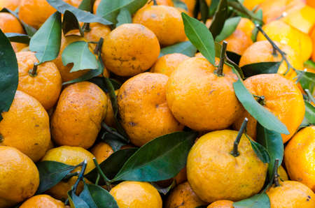 Oranges background