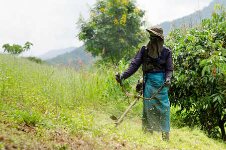 Lawn Mower Man  の写真素材