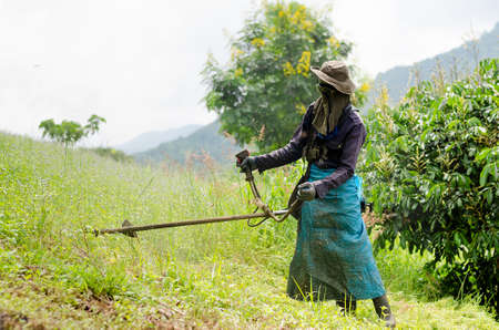 Lawn Mower Man  の写真素材