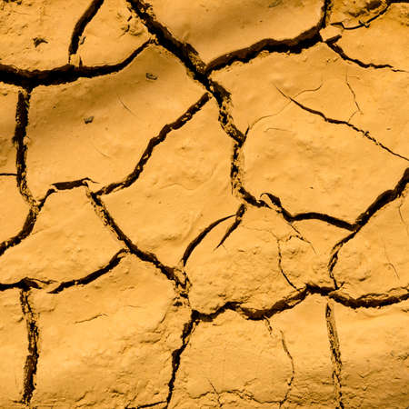 texture of dry and cracked earth backgroundの写真素材