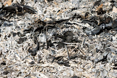 Leaves burned