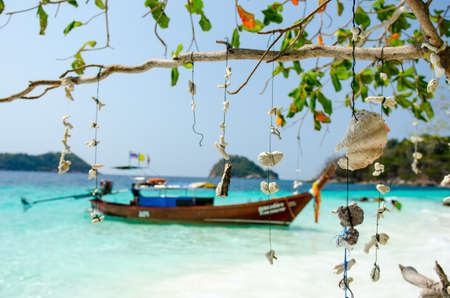 Abstract dry corals backgroundの写真素材