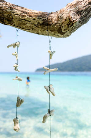 Abstract dry corals backgroundの写真素材