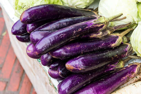 Pile of purple Fairy Tale eggplantの写真素材