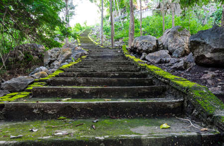 Spring time: step way in the gardenの写真素材