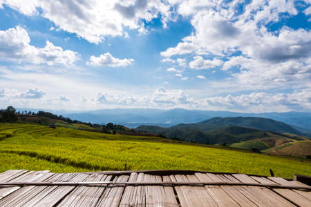 Terraced rice fields in northern Thailand ,Pa pong peang, Chiang Maiの写真素材