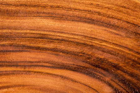 Texture of wood backgroundの写真素材