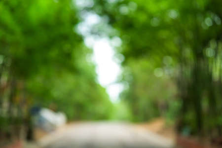 Abstract bokeh and blurred colorful nature backgroundの写真素材