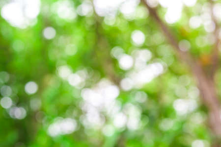 Abstract bokeh and blurred colorful nature backgroundの写真素材