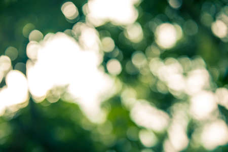 Abstract bokeh and blurred colorful nature backgroundの写真素材