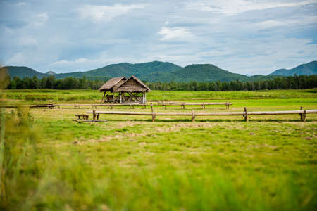 Old cabin in a green field.の写真素材