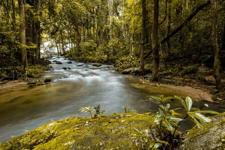 Pha Dok Xu waterfall at Doi Inthanon National park in Chiang Mai Thailandの写真素材