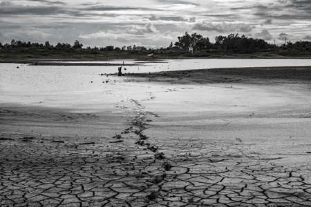 Black and White scene cracked mud in the bottom of a river showing droughtの写真素材