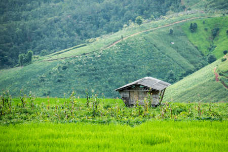 cottage in terraced Paddy Field at Mae-Jam Village , Chiang Mai Province , Thailandの写真素材