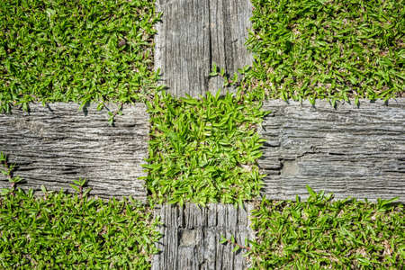 Gravel texture and strip grass