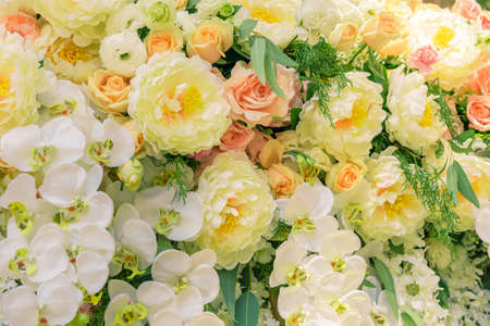 Roses as a backgroundの写真素材