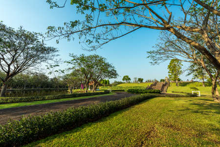 Green field in the gardenの写真素材