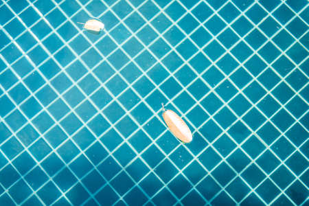 water swimming poolの写真素材