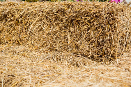 straw bale wall texture background