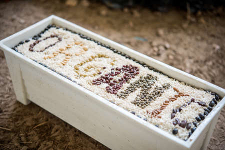 Ancient grains and healthy organic edible seeds