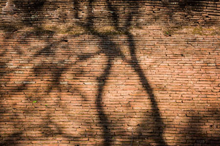 Background of old vintage brick