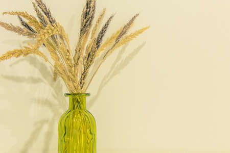 spikes of barley  inside bottleの写真素材