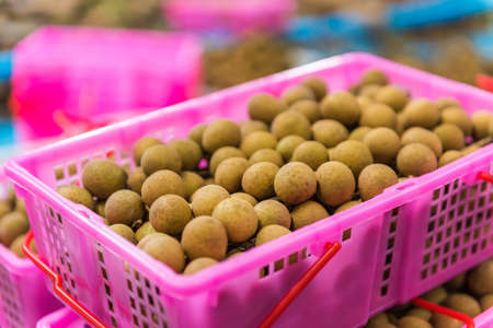 Fresh longan in basket.の写真素材