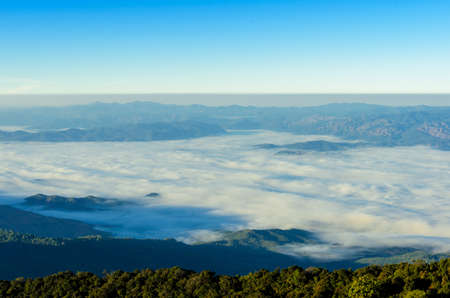 Misty mountain forest fog at doi inthanon national park of Chiang mai, thailand