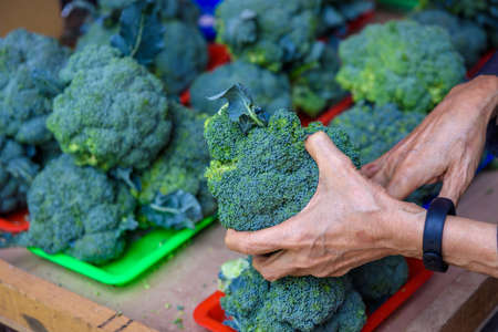 Hands holding broccoli in marketの写真素材