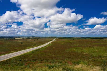 heathの写真素材