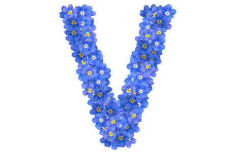 flower alphabetの写真素材