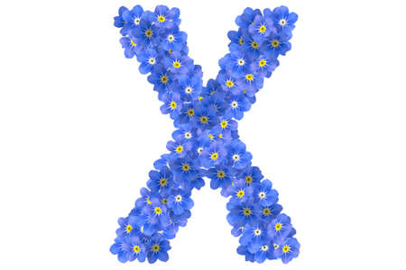 flower alphabetの写真素材