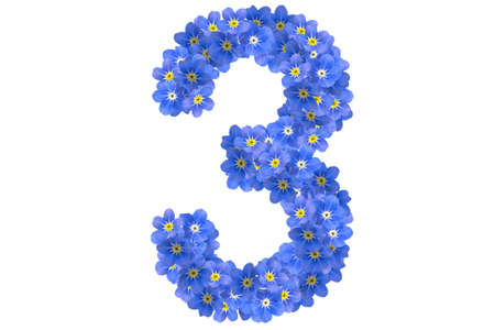 flower numberの写真素材