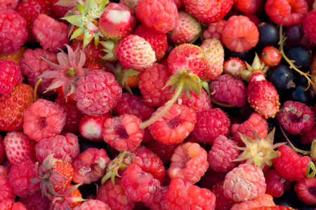 wild fruits
