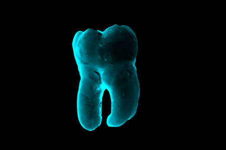 toothの写真素材