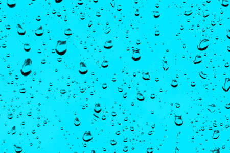 water dropsの写真素材
