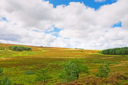 heath landscapeの写真素材