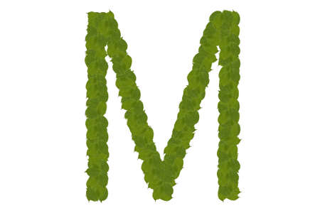 green leaves Mの写真素材